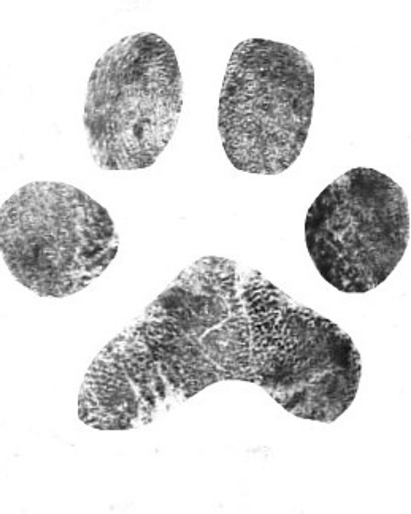 Bella Painter Profile Photo