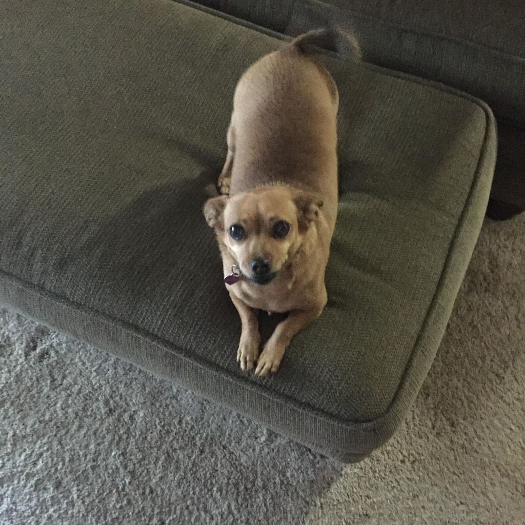 Roxy Profile Photo