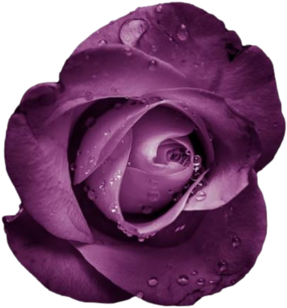 Gloria Brown Profile Photo