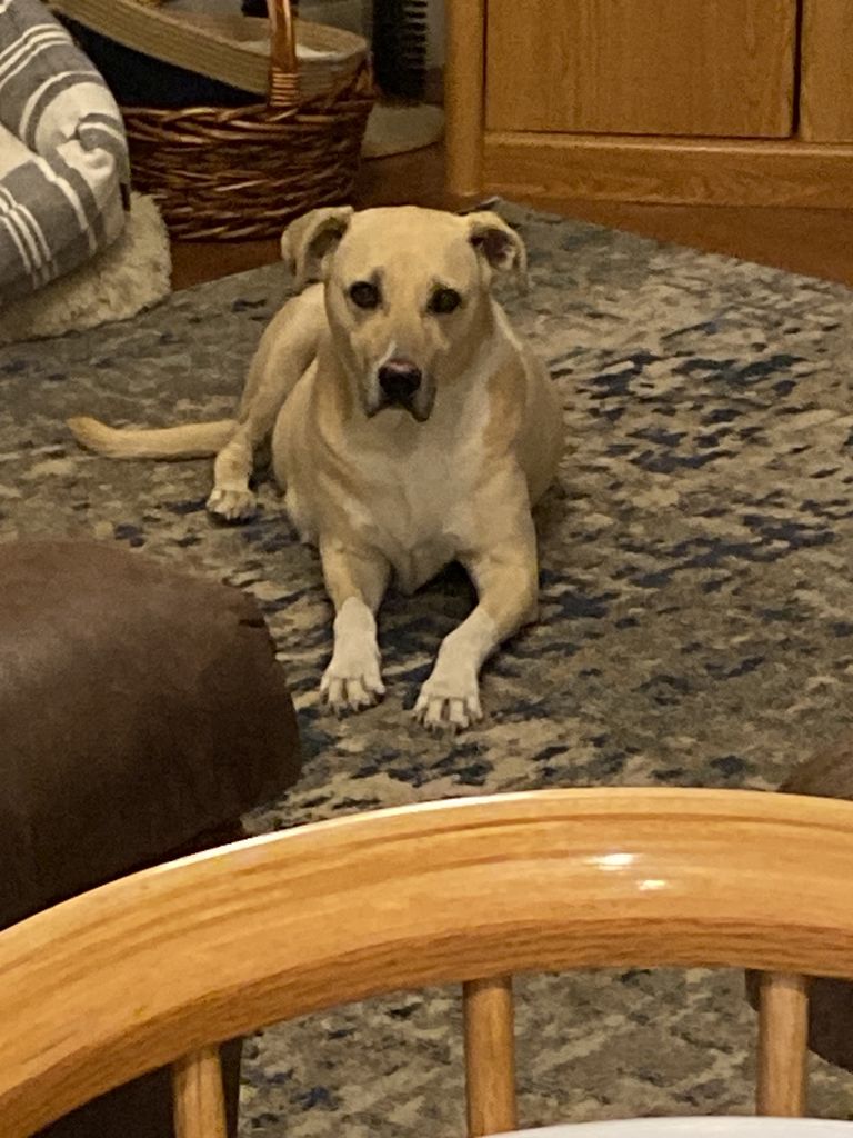 Bella Profile Photo