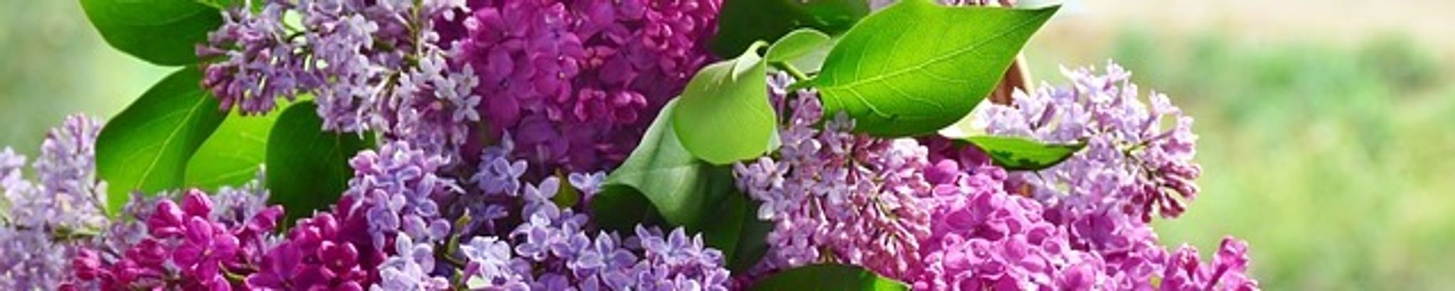 Cover photo for Vinceen Davis's Obituary