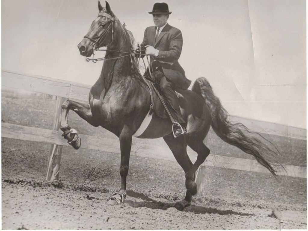 Roscoe W. 'Ross' Drake