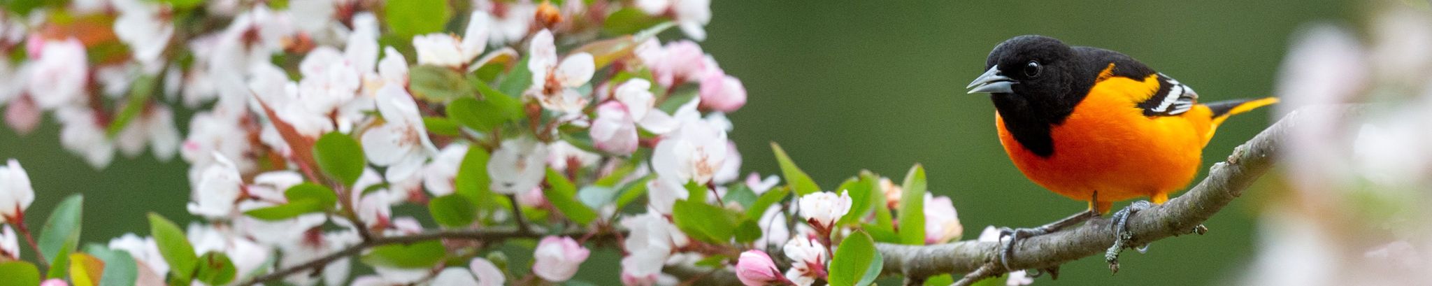 Cover photo for Barbara Hubner's Obituary