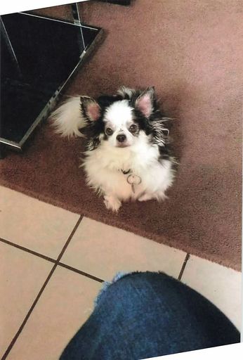 Floyd "Wolfie" E. Wolfe photo gallery thumbnail 78 of 79