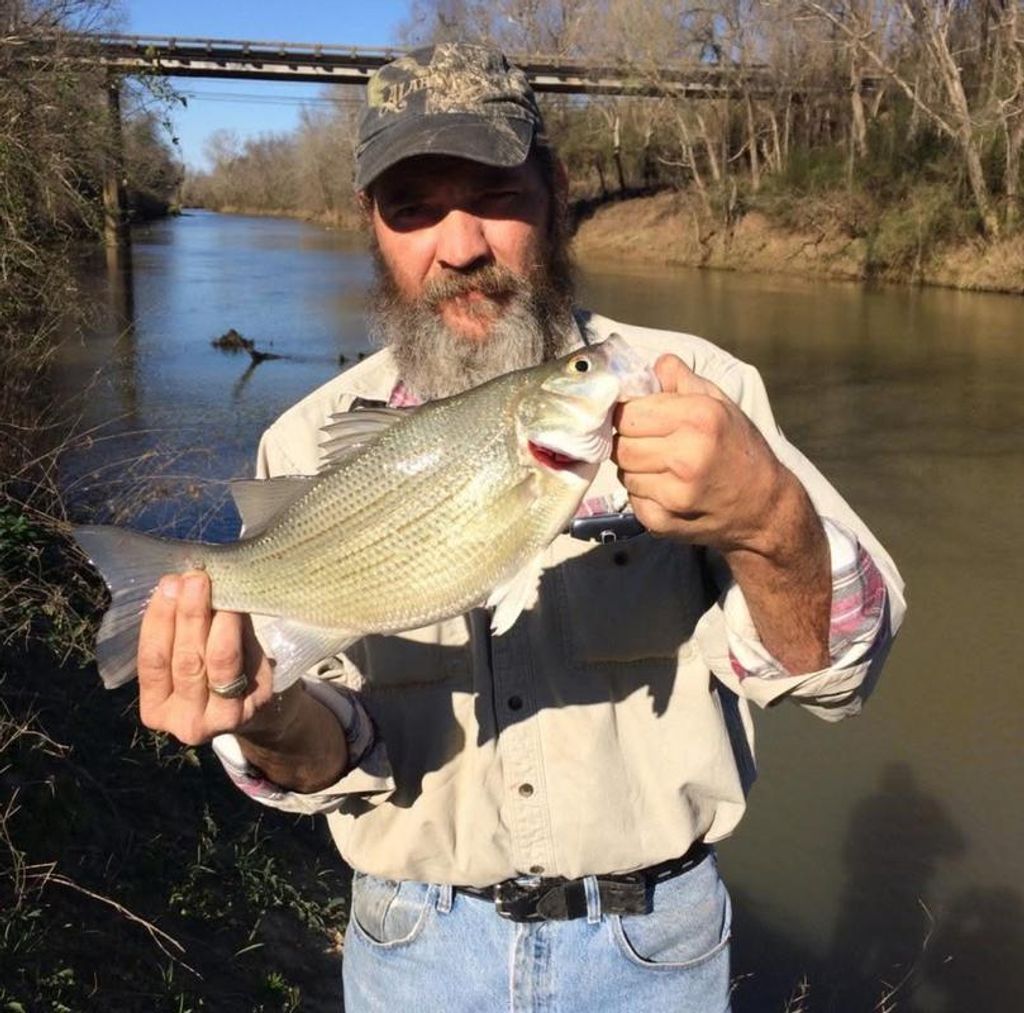 Jerry Daniel Davis Profile Photo
