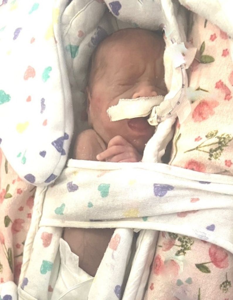 Baby Gabby Jane Hamburg Profile Photo