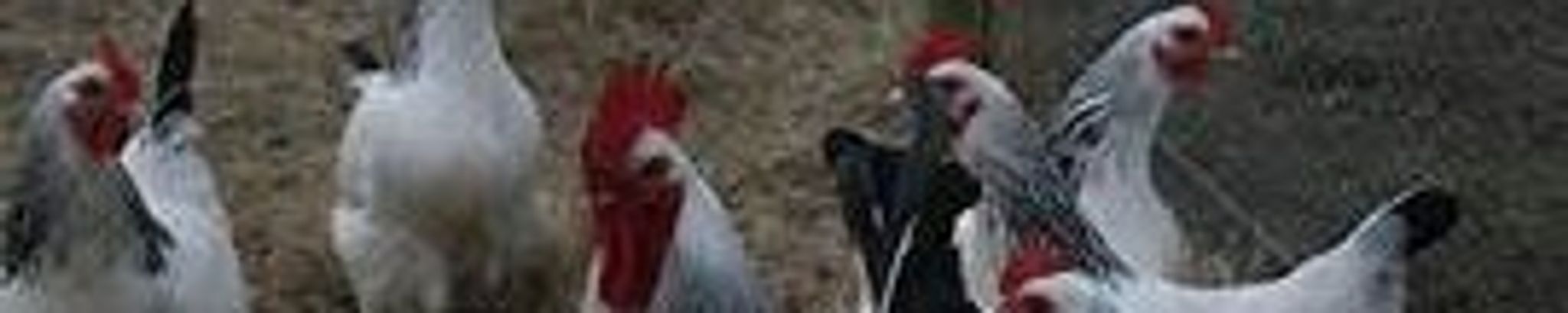 Cover photo for Robert Jackson Watkins's Obituary