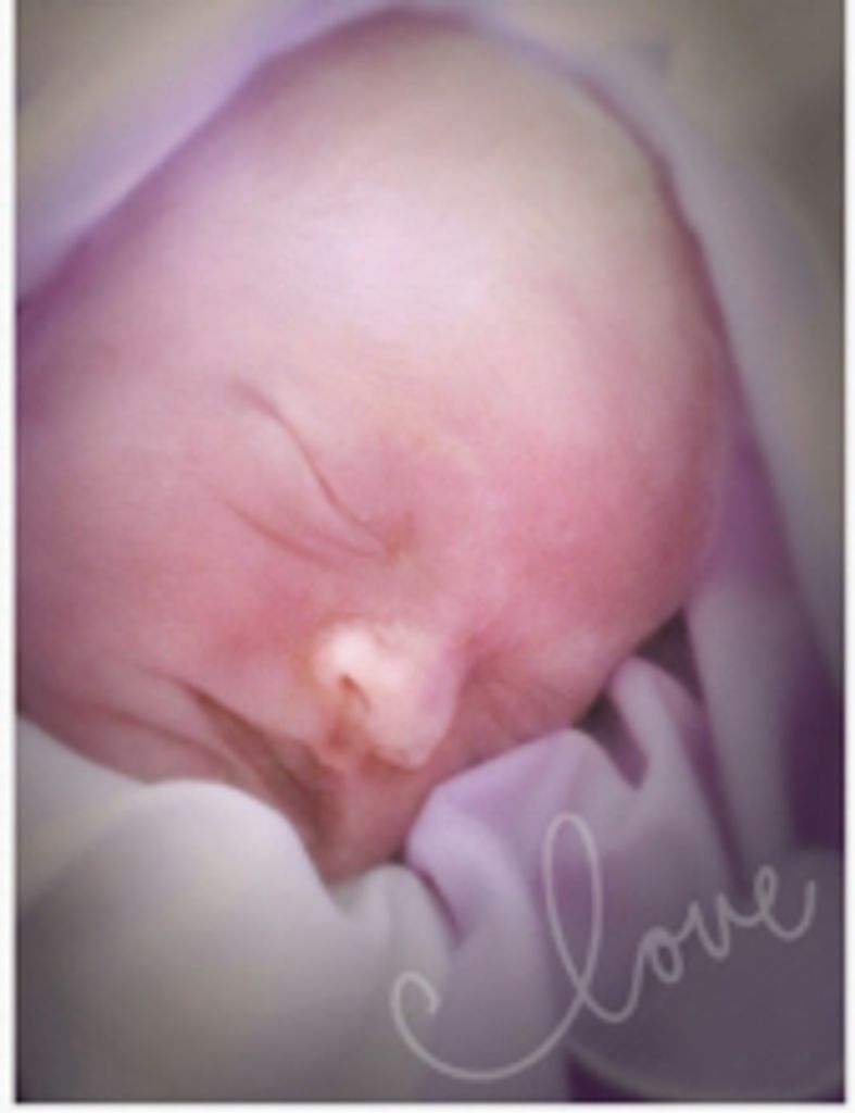 Zailin Renee Wormell