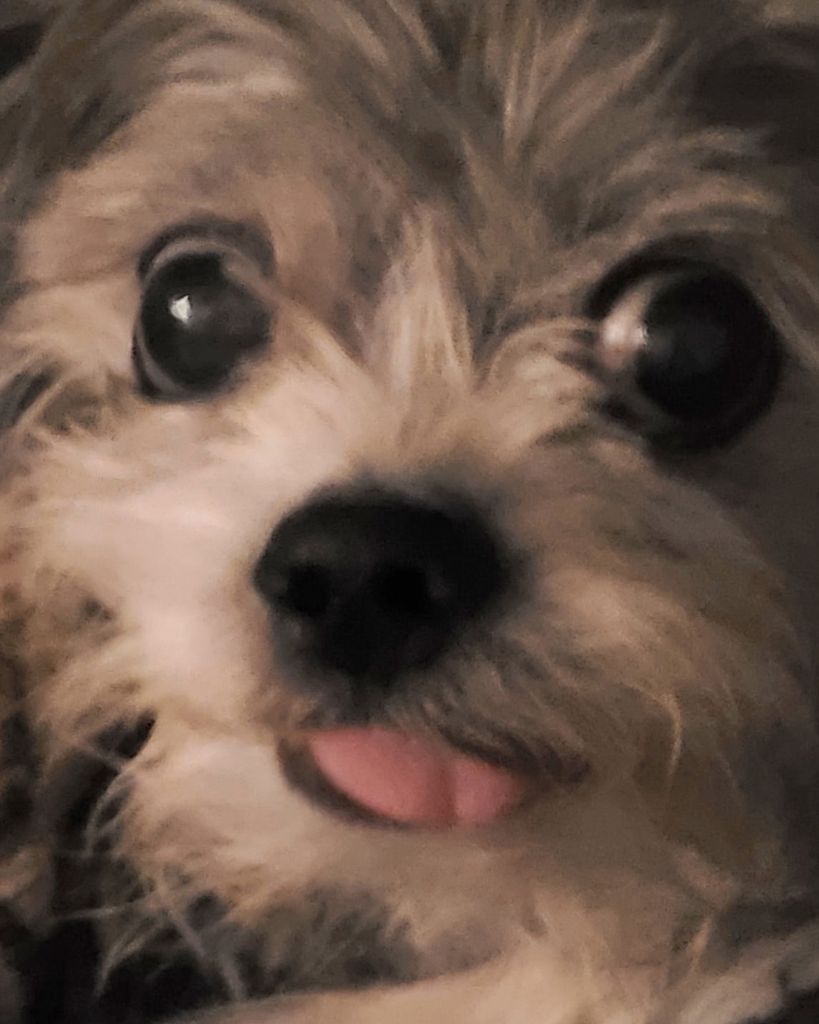 Buddy Grant Profile Photo