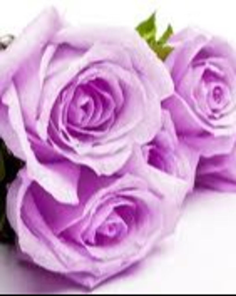 Millicent Adine Taylor 61 Profile Photo