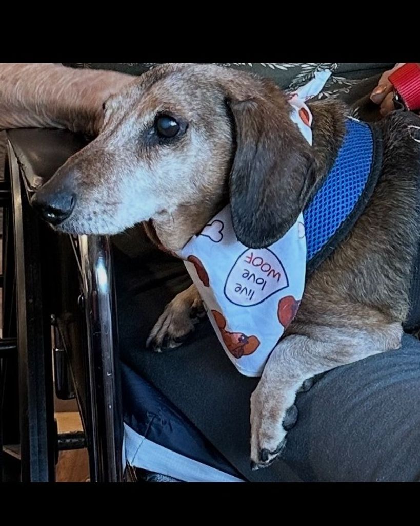 Coco Faust Profile Photo