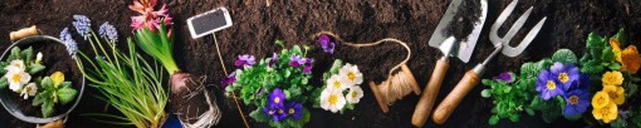 Cover photo for Nancy Jorgensen's Obituary