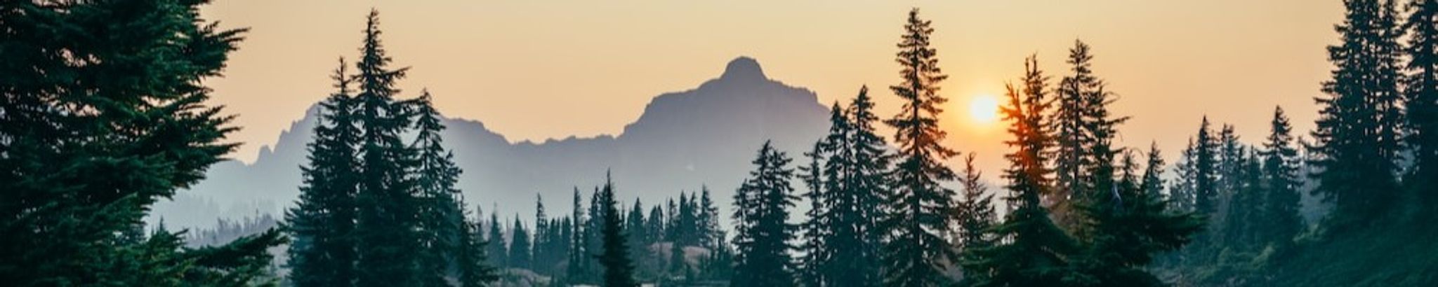 Cover photo for Jack Halford Miller's Obituary