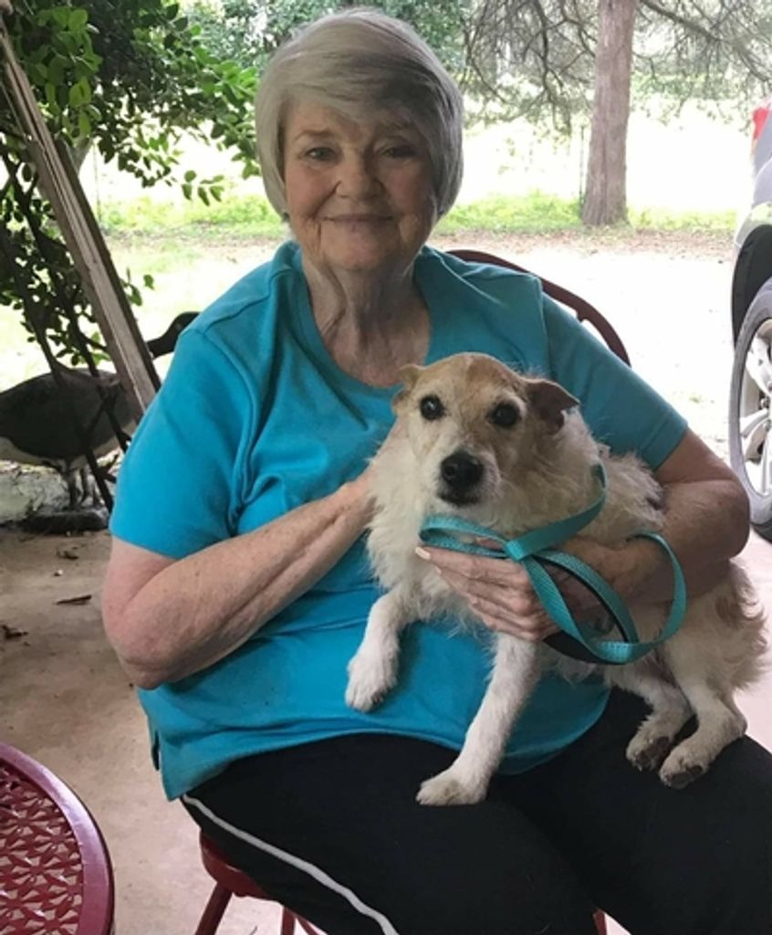 Priscilla Massey Profile Photo