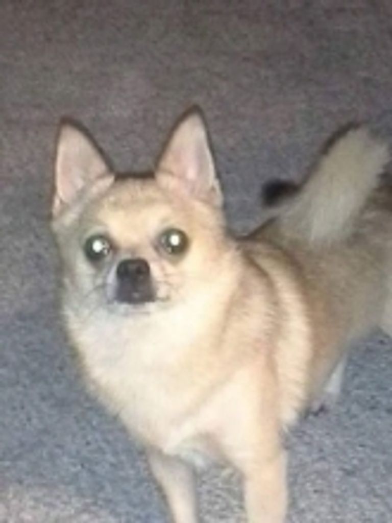 Popper Johnson Profile Photo