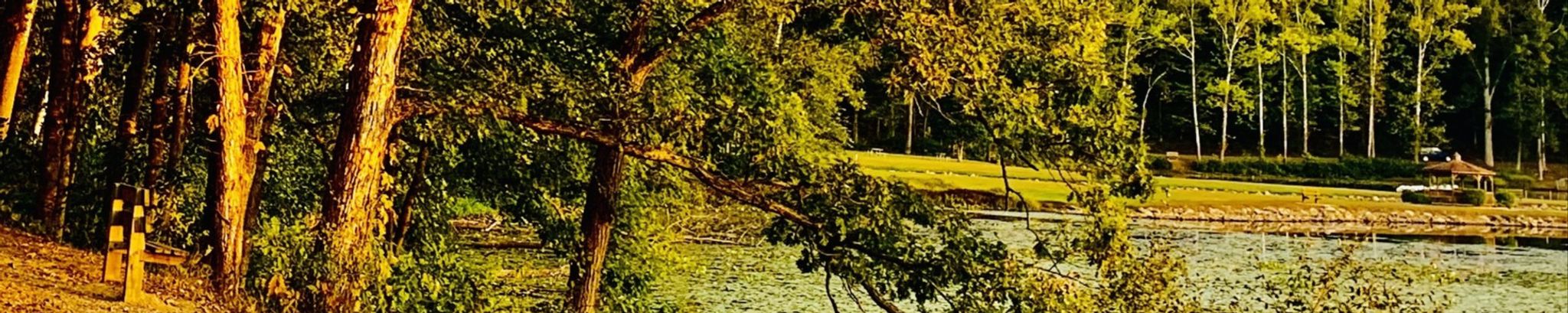Cover photo for Shirley Starkey's Obituary