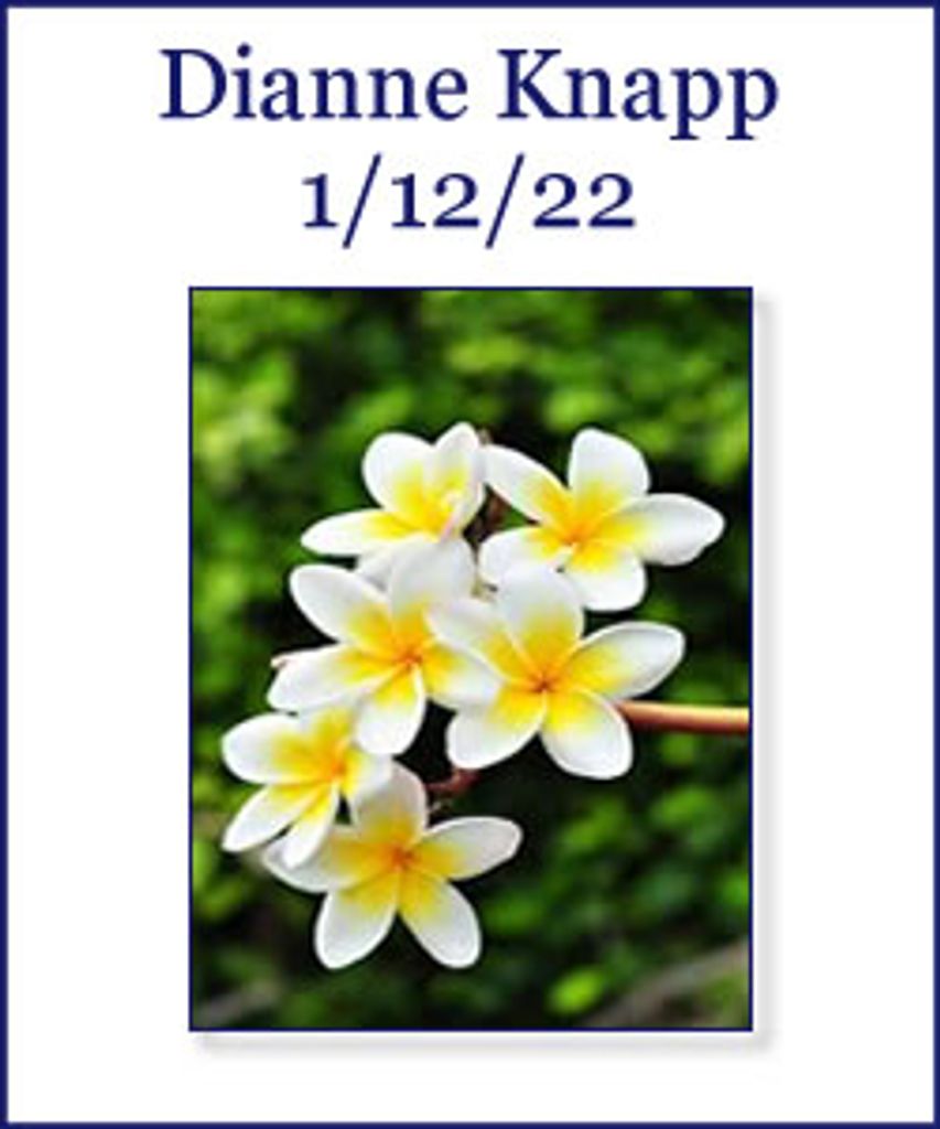 Dianne Knapp