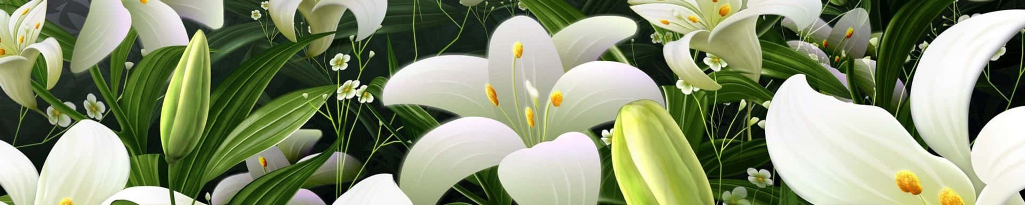 Cover photo for Melissa Ann Alvares's Obituary