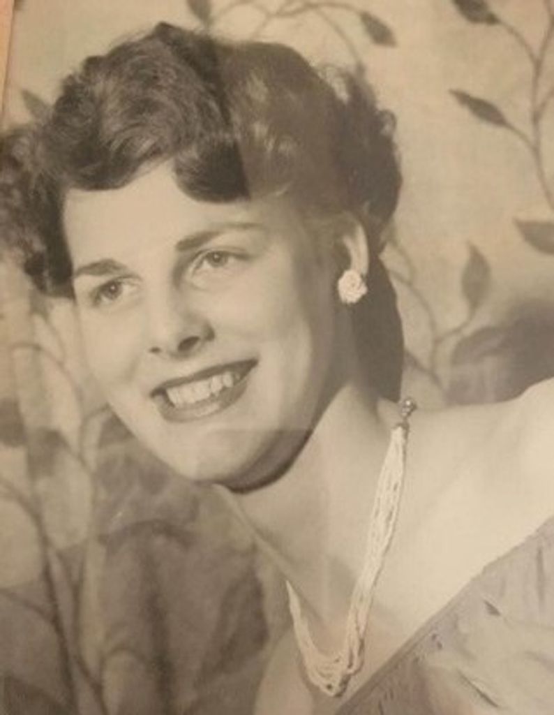 Colleen Shannon Profile Photo