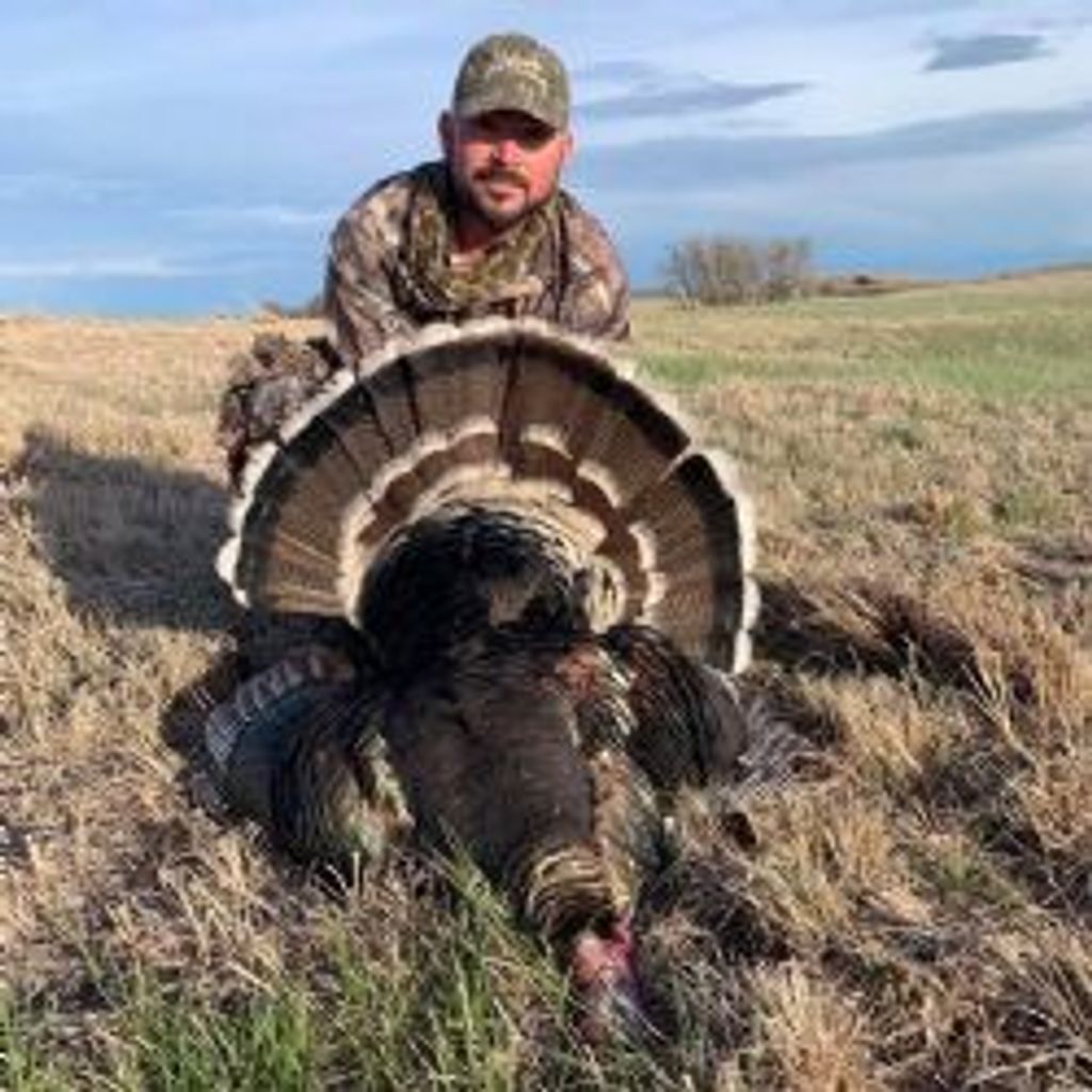 William Andrew Ford Profile Photo