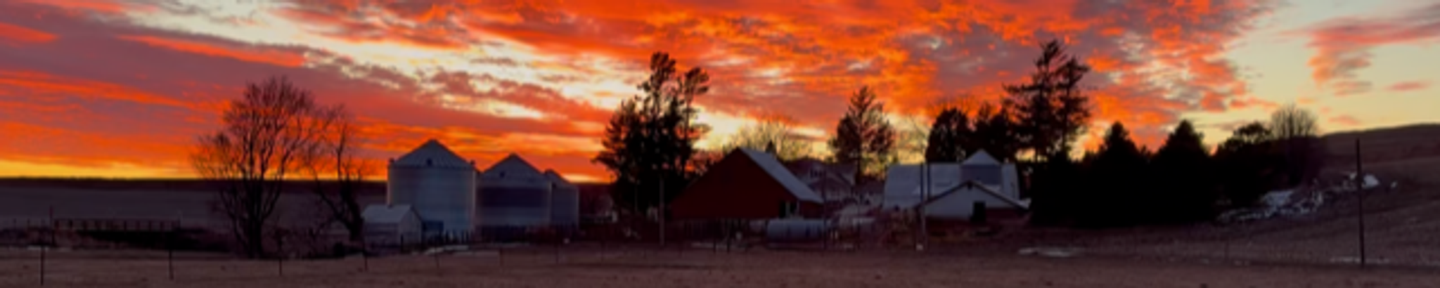 Cover for David Gerard Gross's Obituary