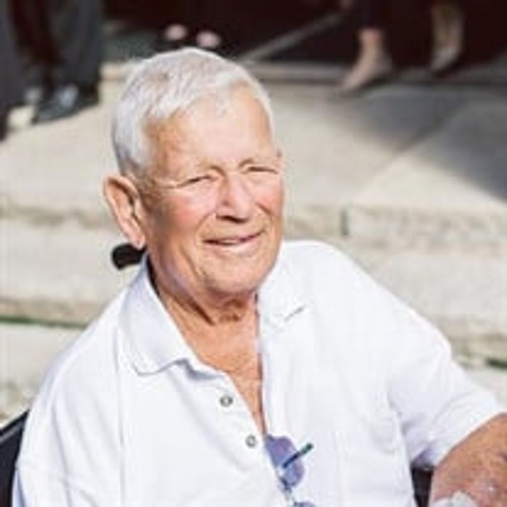 Raymond D Armes