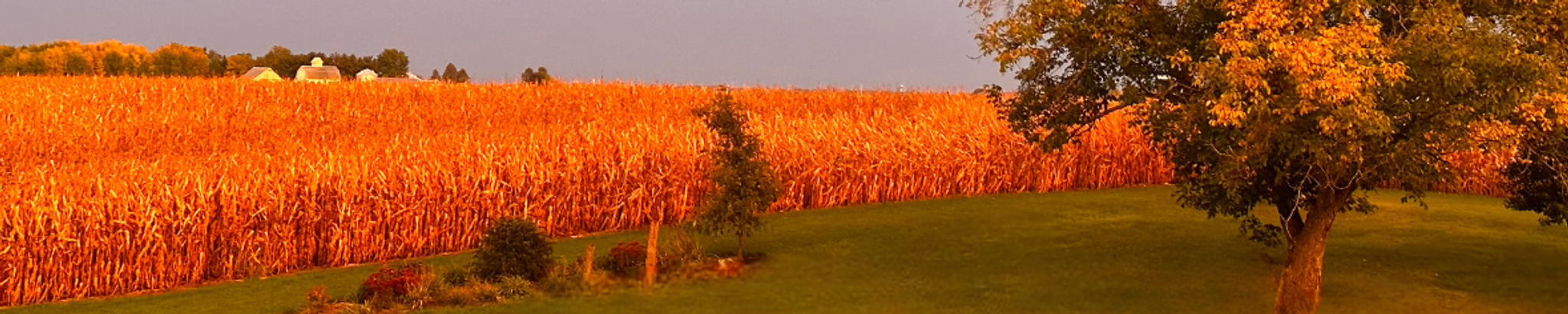 Cover for Jerry Gould Hardin's Obituary