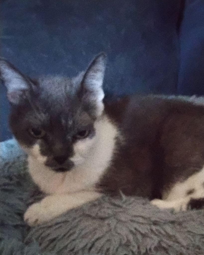 Faith Edes Profile Photo