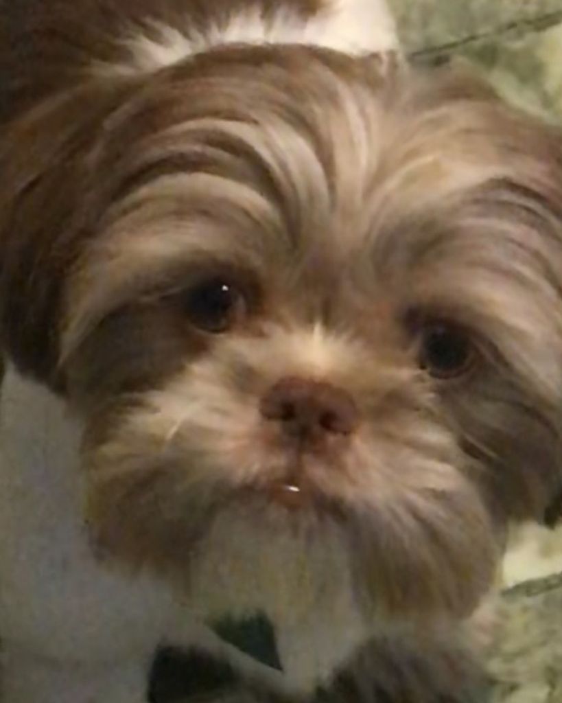 Milo Ceja Profile Photo