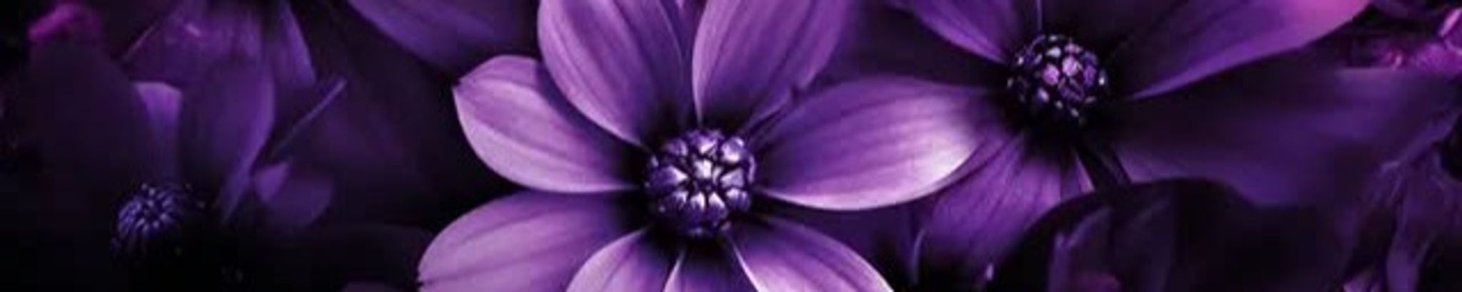 Cover for Nancy Gabaldon's Obituary