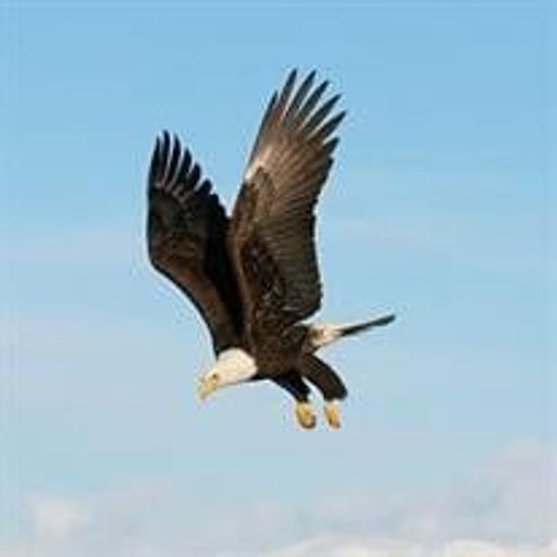 Roger Whitson Profile Photo