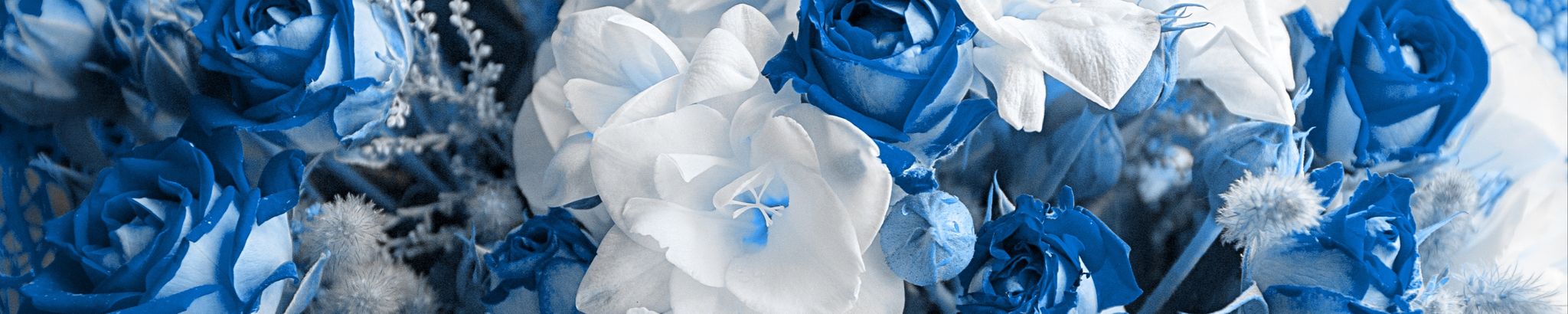 Cover photo for Bernice Dewberry's Obituary