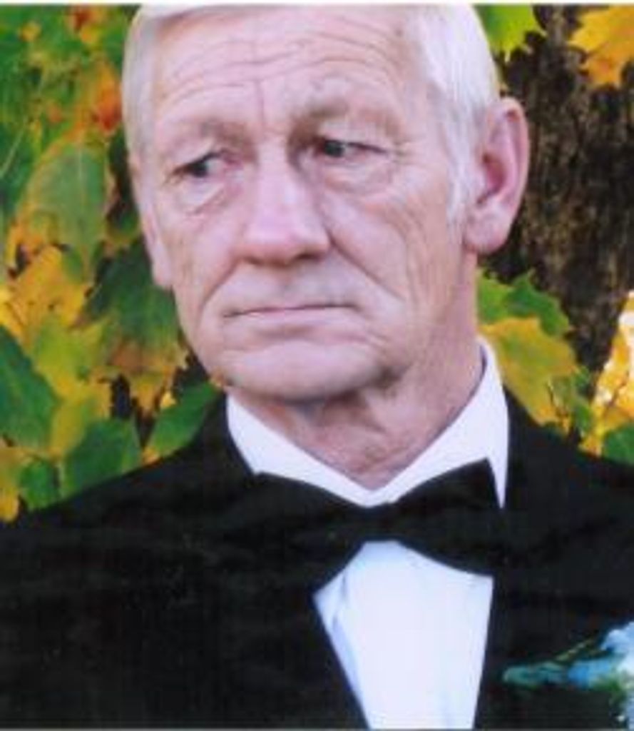 Lemie Hendrikus Vrieze Profile Photo