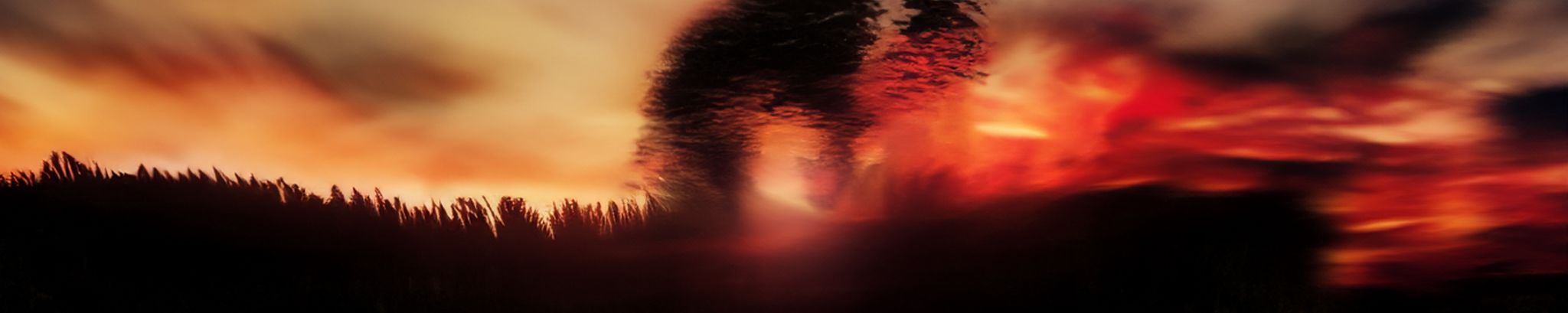 Cover photo for Clayton Reevis's Obituary