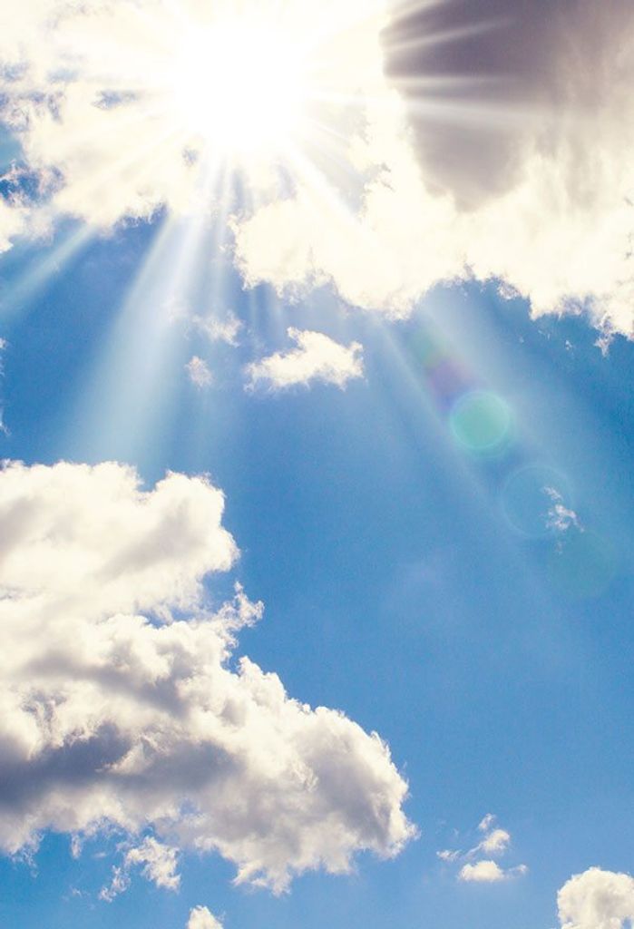 Stephen John Sninsky Profile Photo