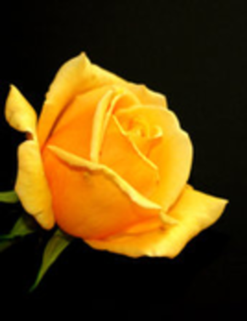 Mrs. Deborah Sue (Blackmon) Smith Profile Photo
