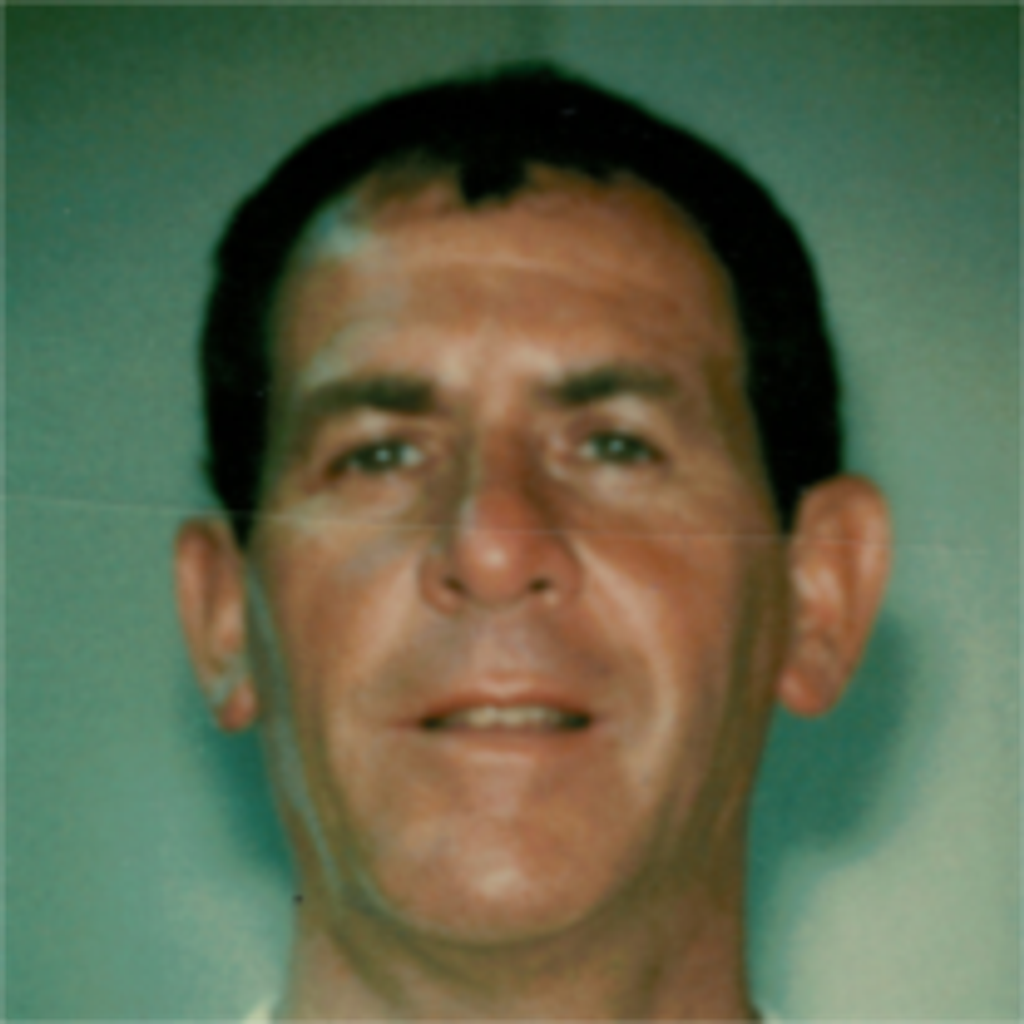 Howard L. Wiggins