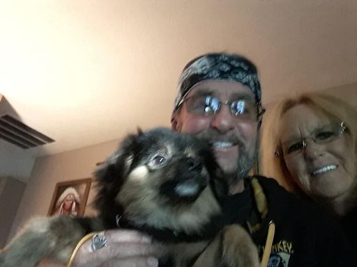 Michael "Mike" G. Murphy, Sr. photo gallery thumbnail 103 of 301