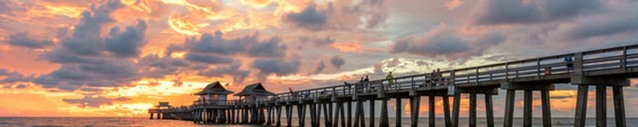 Cover for Donna Marie Silveira's Obituary