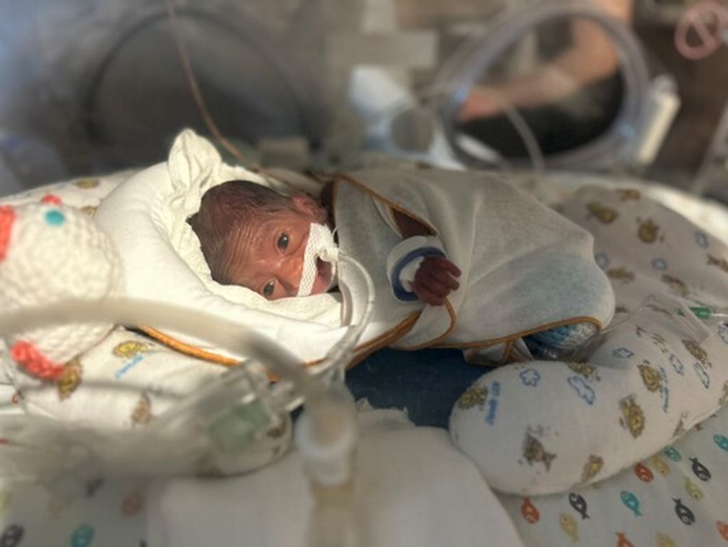 Delmon Andrew Profile Photo