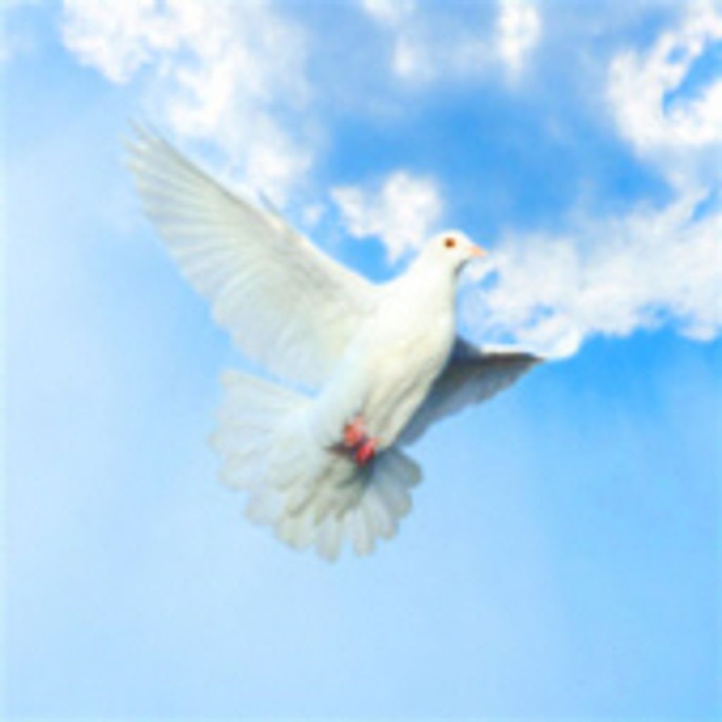 Stephen Eckhardt Profile Photo