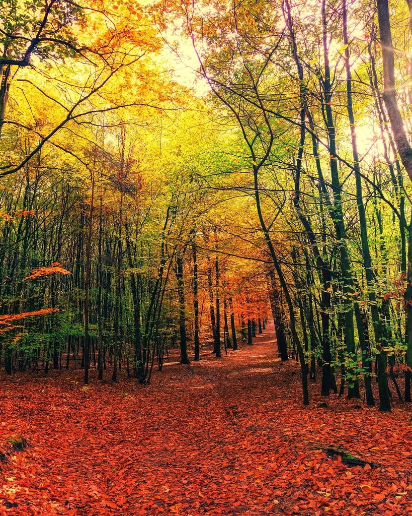 Lawrence David Jarvis Profile Photo