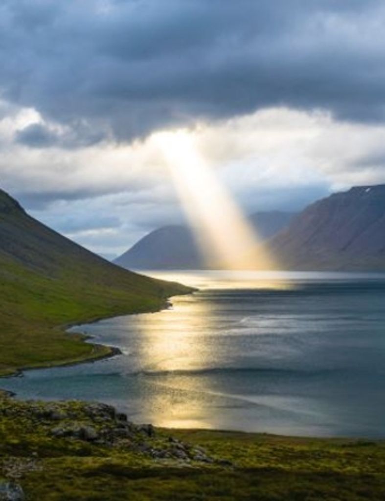 Frederick Grant Stephens Profile Photo