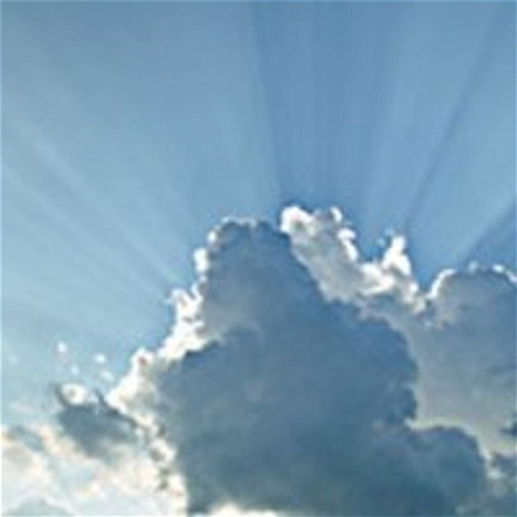 Carol A. Graff Profile Photo