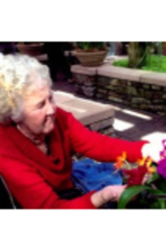 Dorothy Mealor Profile Photo