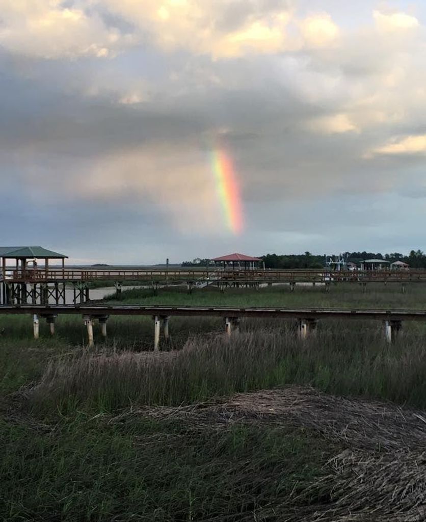 Darryl  Orme Hamerton