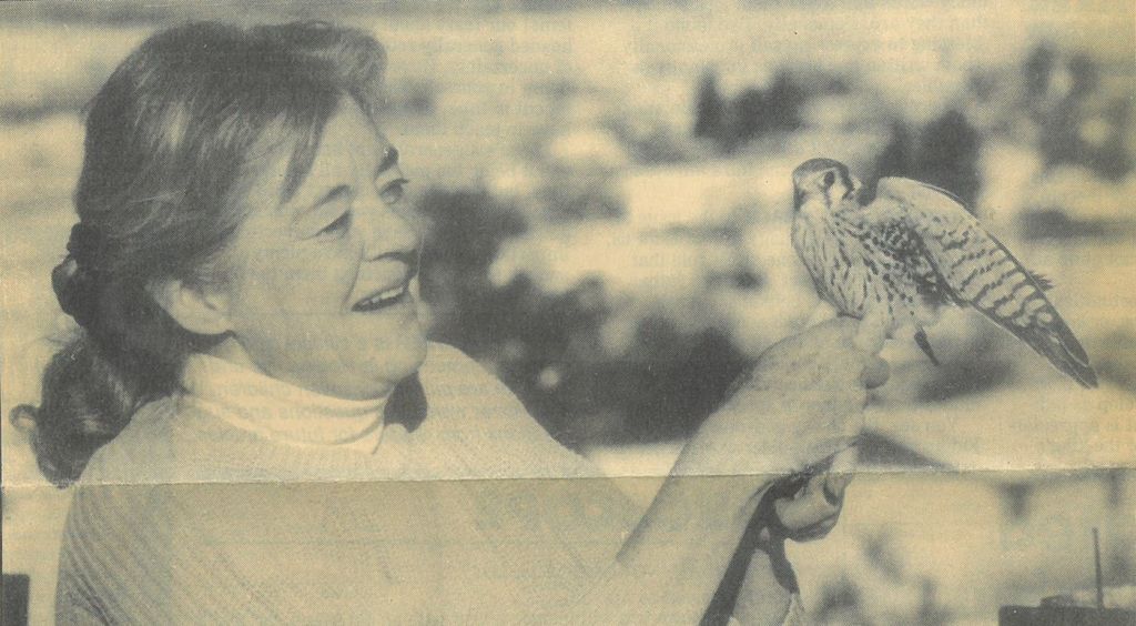 Marvel  Frances Weggenman