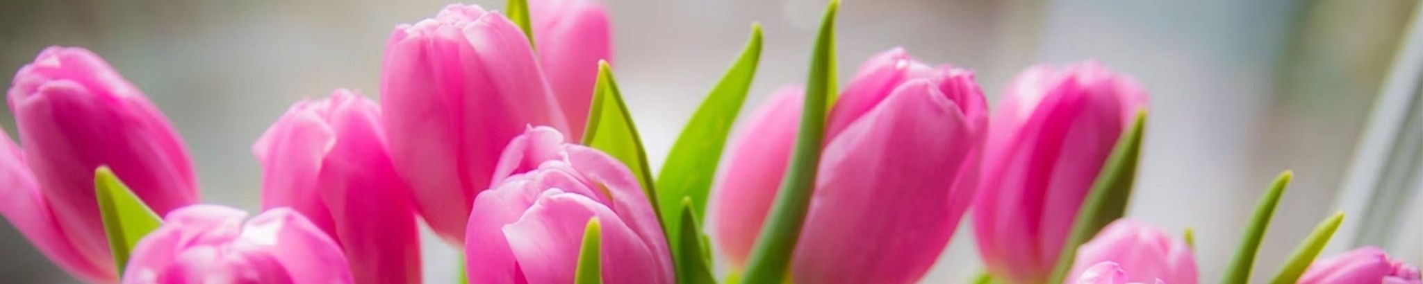 Cover for Janet Yvonne Mosher's Obituary