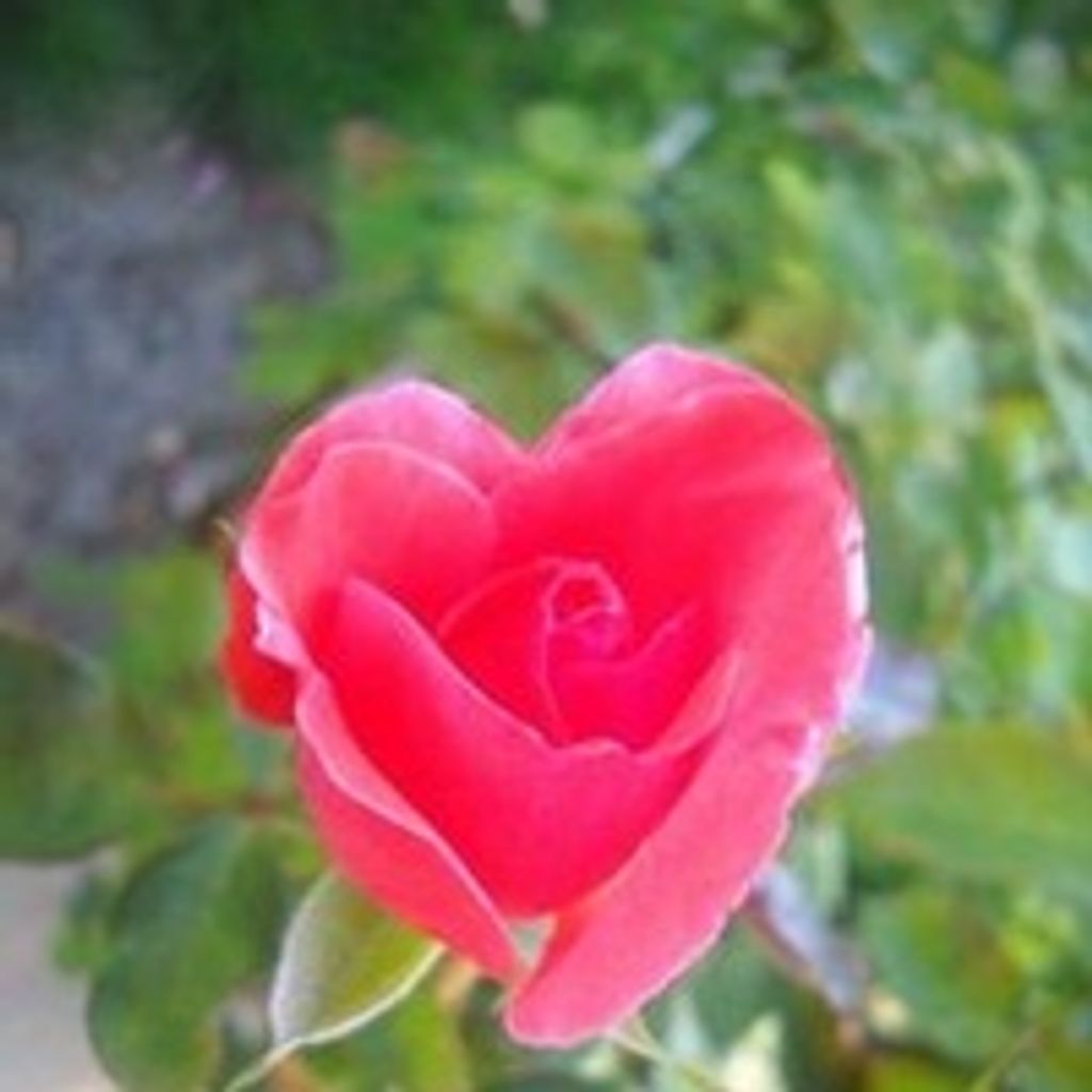 Sherry Sharpe