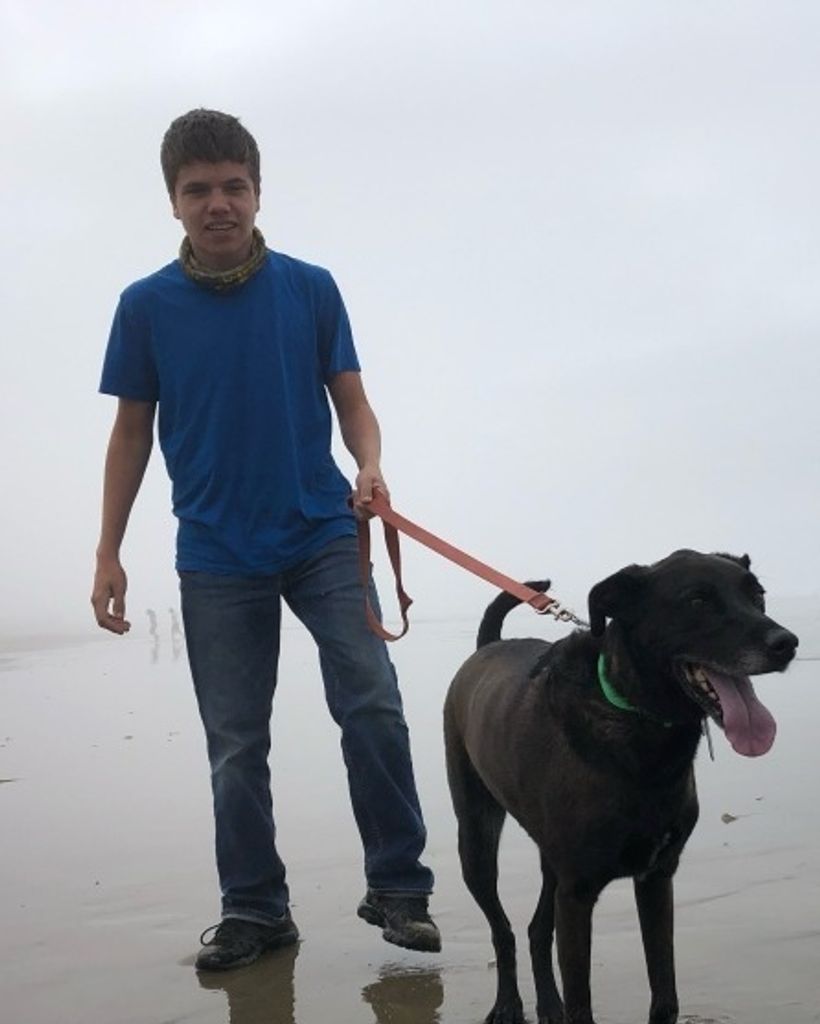 Henry Dion Labrie Profile Photo